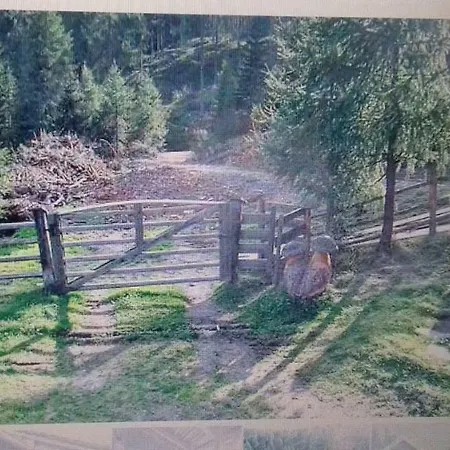 Luxuszelt Meissnitzerhutte